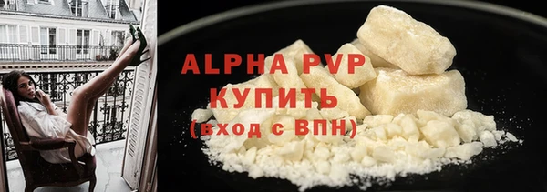 ешки Бородино