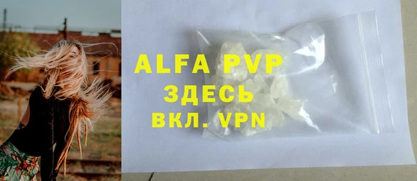 ешки Бородино