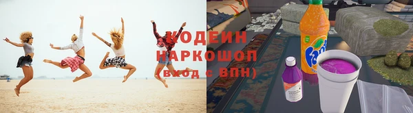 гидра Богородицк