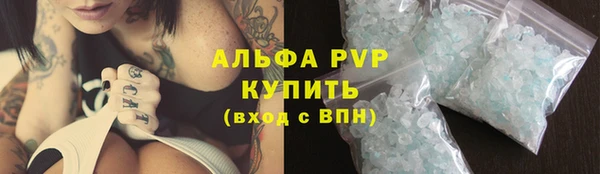 ешки Бородино
