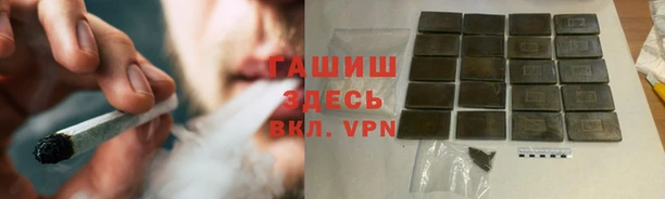 ешки Бородино
