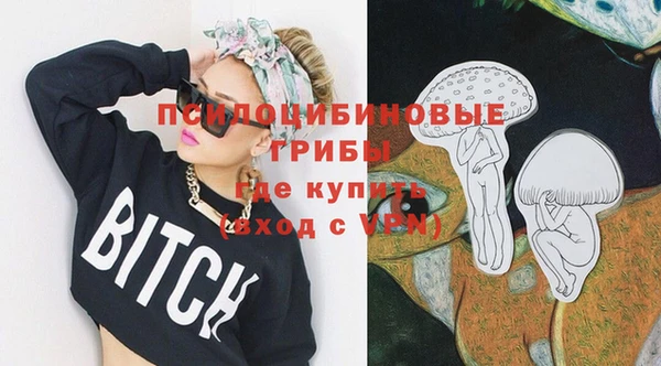 стаф Бронницы