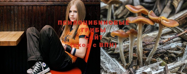 дживик Бугульма