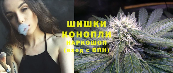 стаф Бронницы
