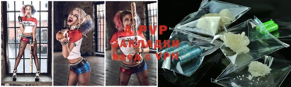 стаф Бронницы