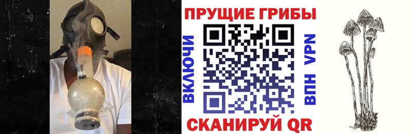 Галлюциногенные грибы ЛСД  дарнет шоп  Орск 