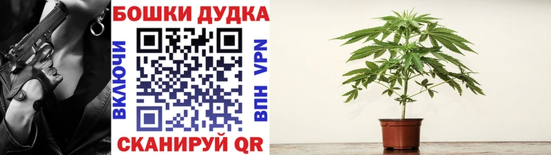 Конопля ГИДРОПОН Орск